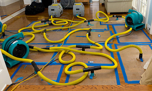 Professional Basement Flood Cleanup technician working in Boulder City, NV